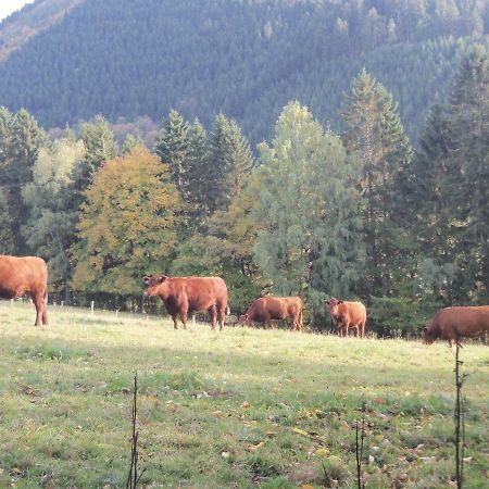 네트펜 Urlaub Auf Dem Bauernhof 아파트 외부 사진