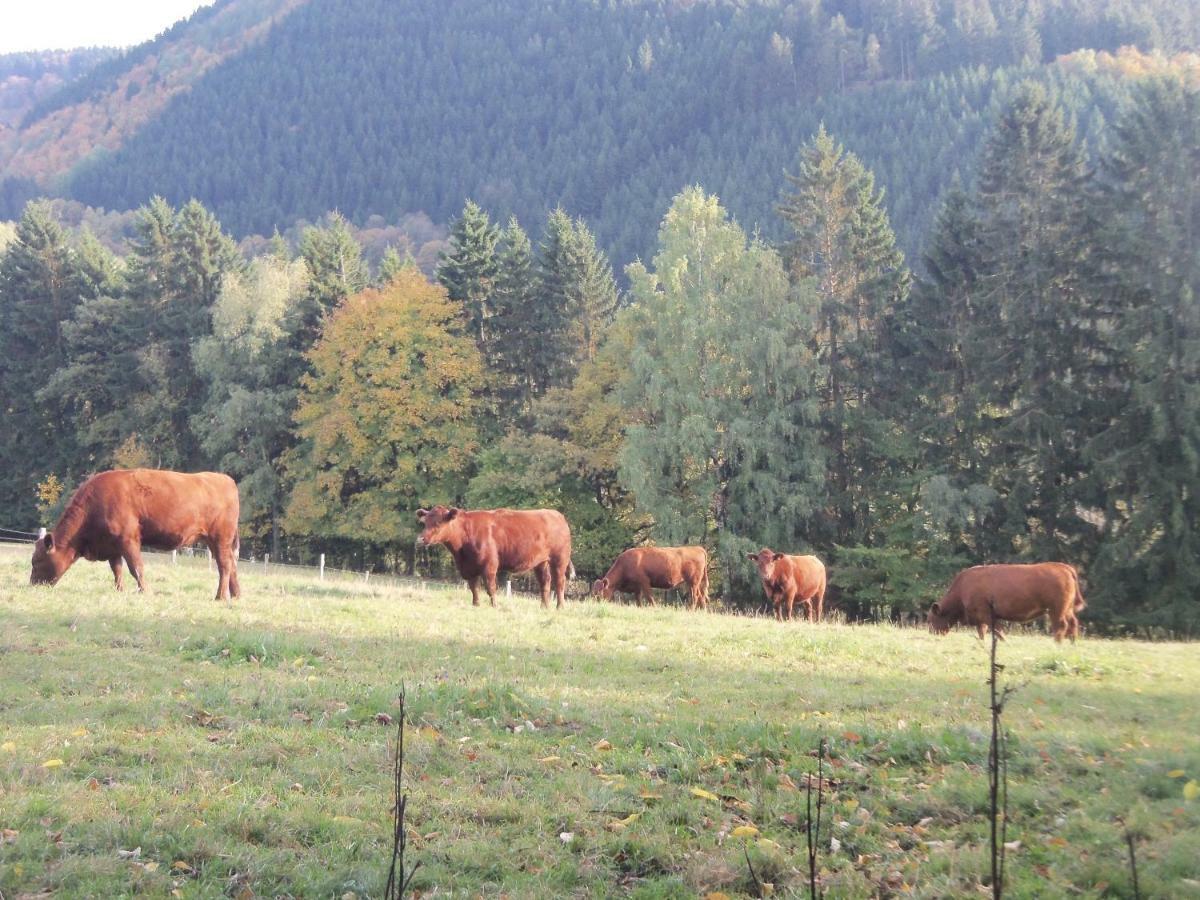 네트펜 Urlaub Auf Dem Bauernhof 아파트 외부 사진